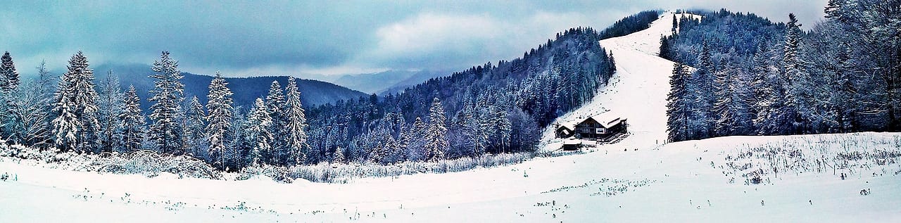 Bandă panoramică de iarnă: brazi acoperiți de chiciură, pârtia și cabana mică la marginea pădurii.