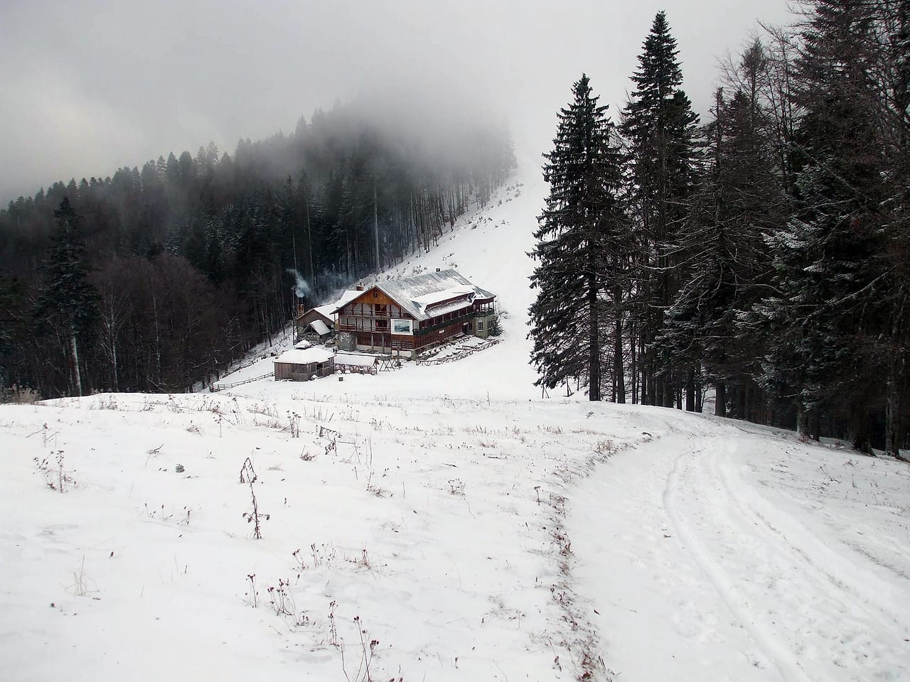 Cabana într-o vale în ceață, iarna, cu brazi negri pe dreapta și un drum bătut care urcă spre ea.