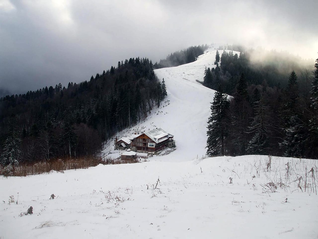 Cabana la baza pârtiei, cu toată panta și pădurea deasupra ei, într-o zi cenușie de iarnă.