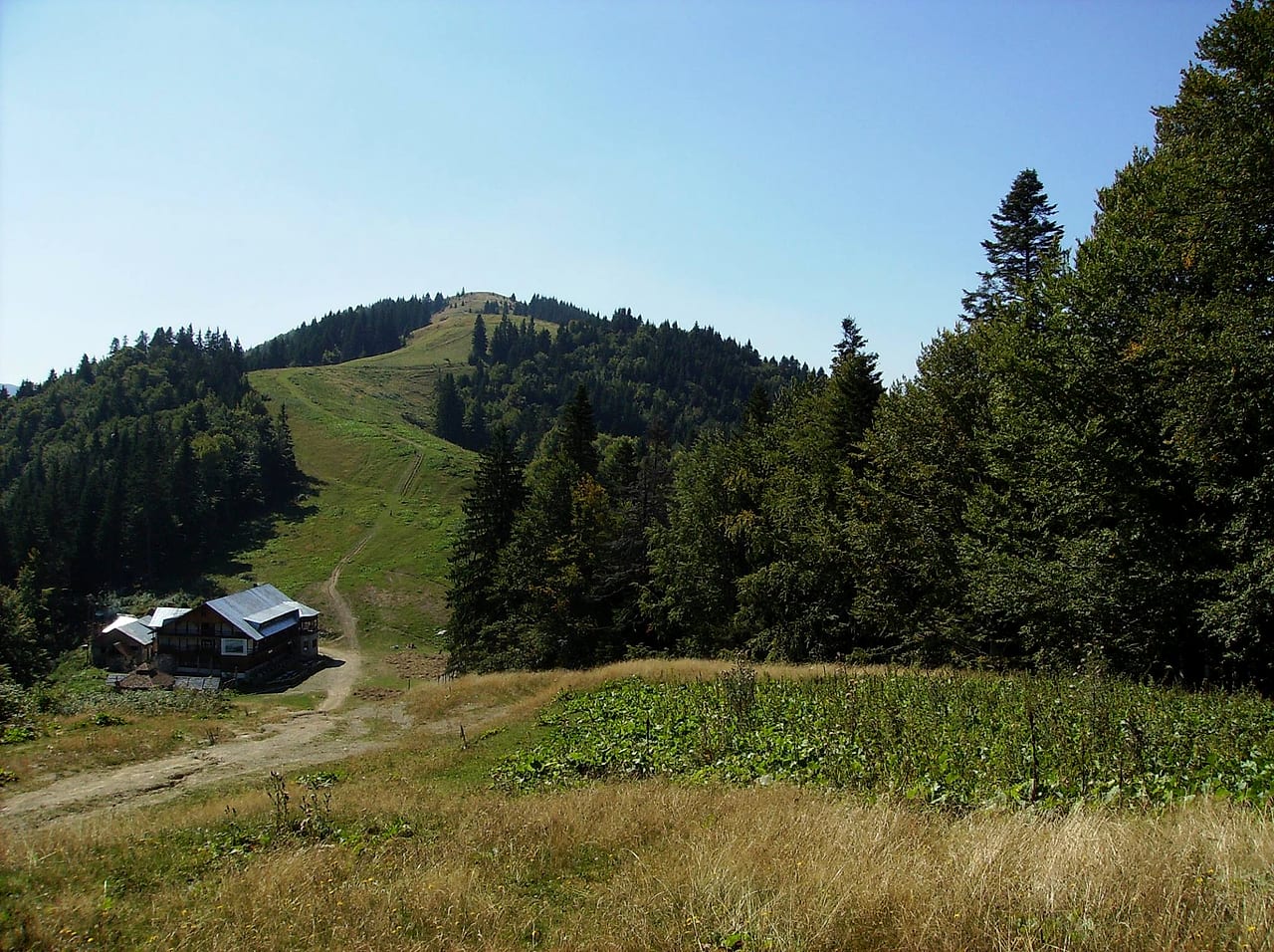 Cabana vara, văzută de pe drumul de pământ, cu pârtia verde urcând spre creastă.