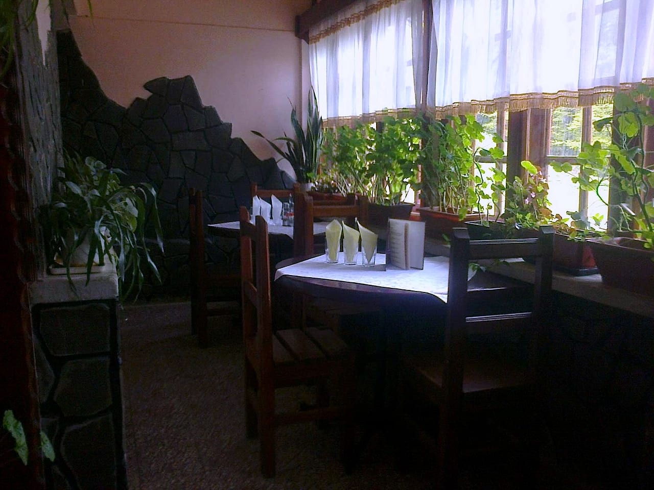 Colț de sală vara, cu perdele albe, geam larg și jardiniere pline de verdeață.
